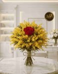Red rose with Mimosa