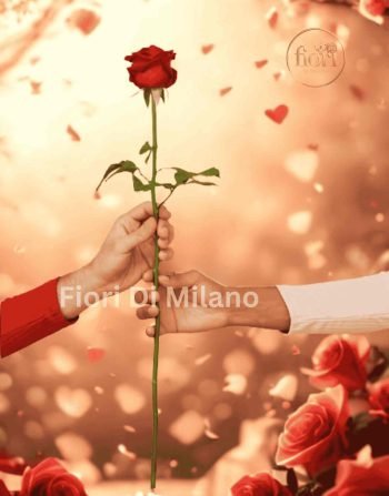 Rosa rossa singola