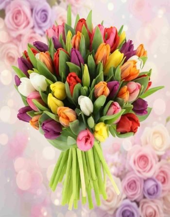 Tulips Mix 50 Pcs 1