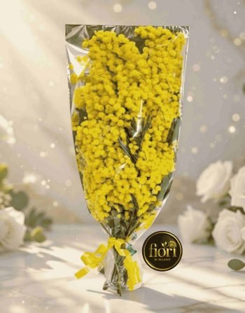 di mimosa e una Rosa