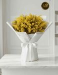 Mimosa For You (3)
