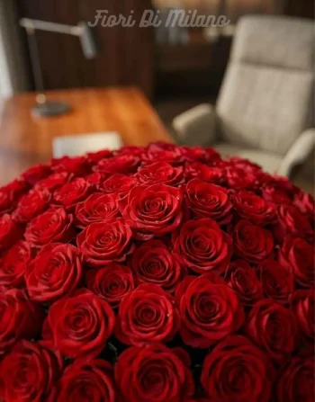 101 red roses premium quality from holland
