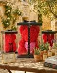 Rose Doll Red (1)