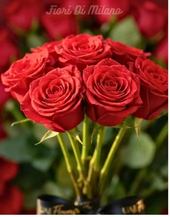 Sinfonia Red Bloom (2)