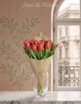 Tulipani Strong Fire
