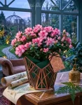 pianta Azalea (1)