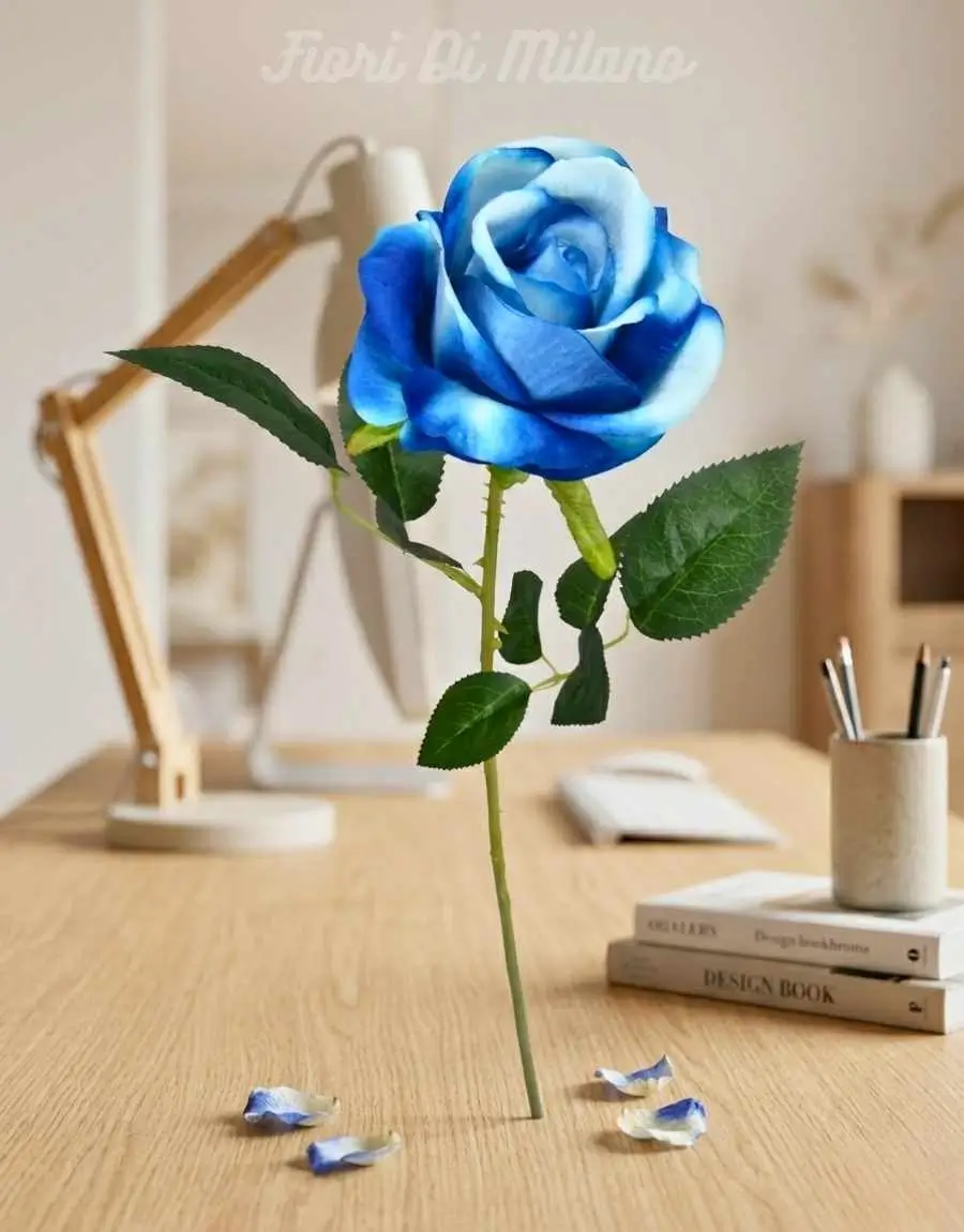 rosa blue singola (1) rosa blue singola (1)