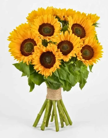 Bouquet di 10 girasoli