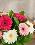 Bouquet gerbere (2)