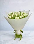Bouquet of White Dynasty tulips