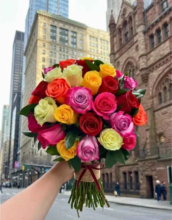 Colourful day's