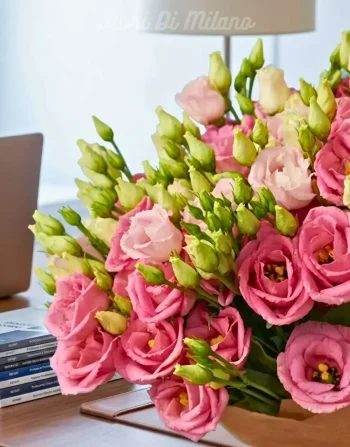 Eustoma ( Lisanthus) (1)