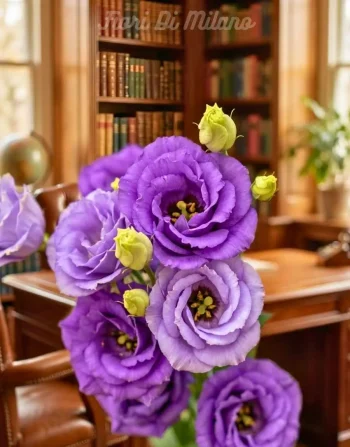 Felicity (fiori Dall'Olanda )mazzo grande (2)