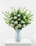 LISIANTHUS