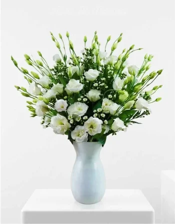 LISIANTHUS