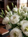 LISIANTHUS (1)