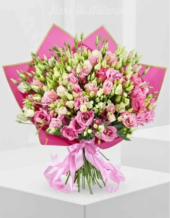 LISIANTHUS ROSA (1)