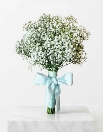 Mazzo DI Gypsophila
