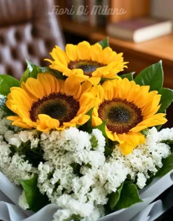 Premium Girasoli (1)