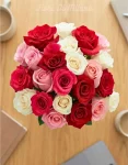 Rainbows Of Love Valentines Day Roses (2)
