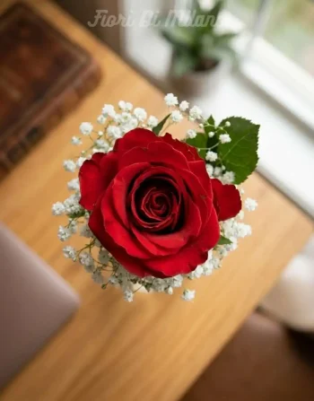 Rosa rossa singola (1)