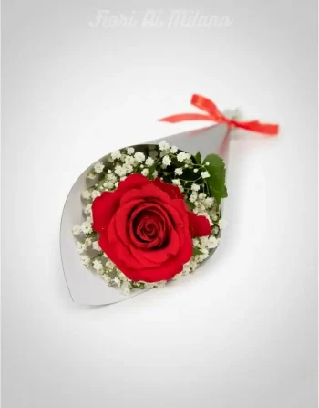 Rosa rossa singola
