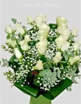 Rose Bianche