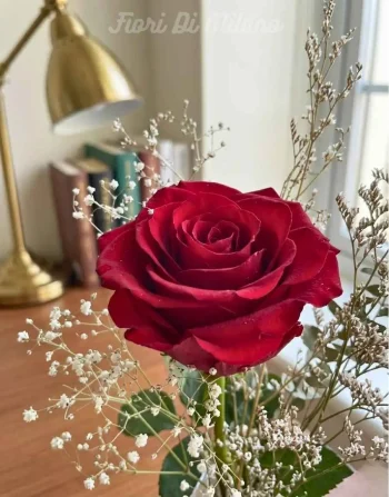 Singel roses Premium (1)