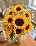 Sunshine (2)