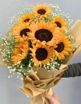 Sunshine
