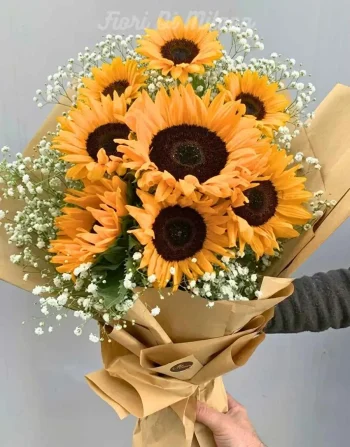 Sunshine