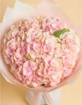 Ortensia Bouquet Premium (3)