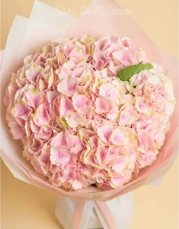 Ortensia Bouquet Premium (1)