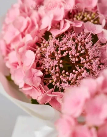 Maxi Bouquet Ortensie Rosa (2)